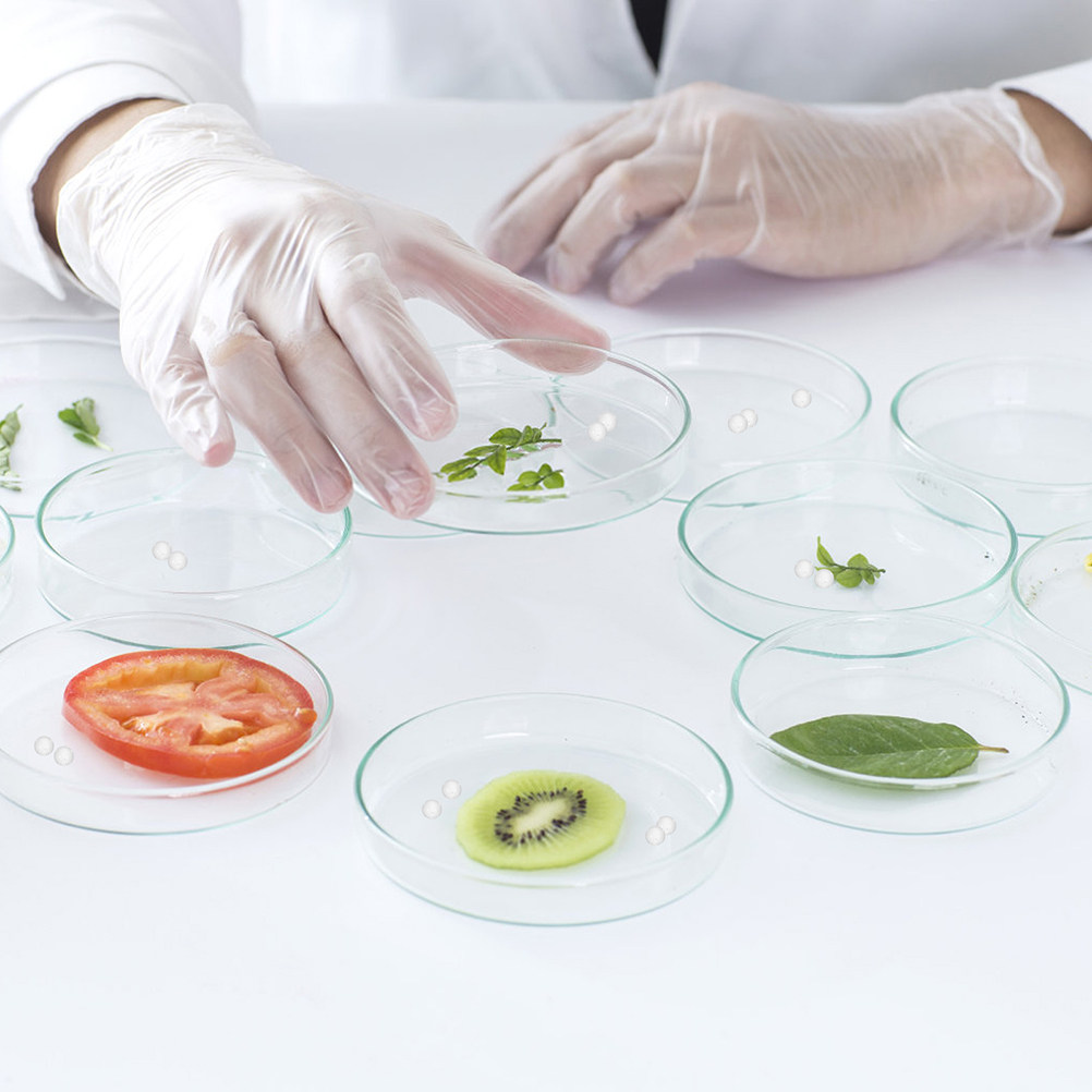 1000Pcs Clear Glass Balls Smal - Highball Glass Set ulasan dan harga